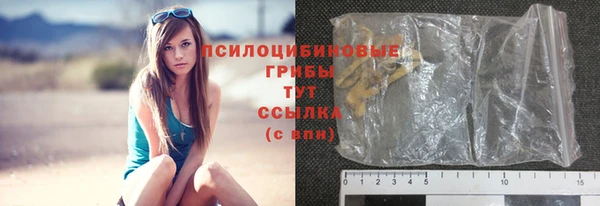 СК Верхний Тагил