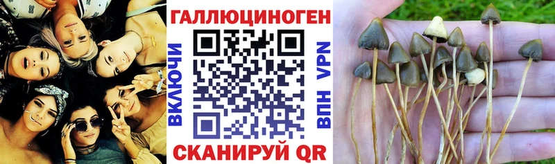 Галлюциногенные грибы мухоморы  купить наркоту  MEGA   Новочеркасск 